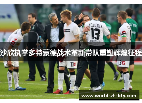 沙欣执掌多特蒙德战术革新带队重塑辉煌征程 沙欣执掌多特蒙德战术革新带队重塑辉煌征程